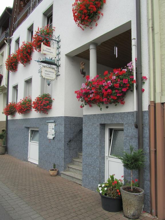 Apartmán Mosel Panorama Zell an der Mosel Exteriér fotografie