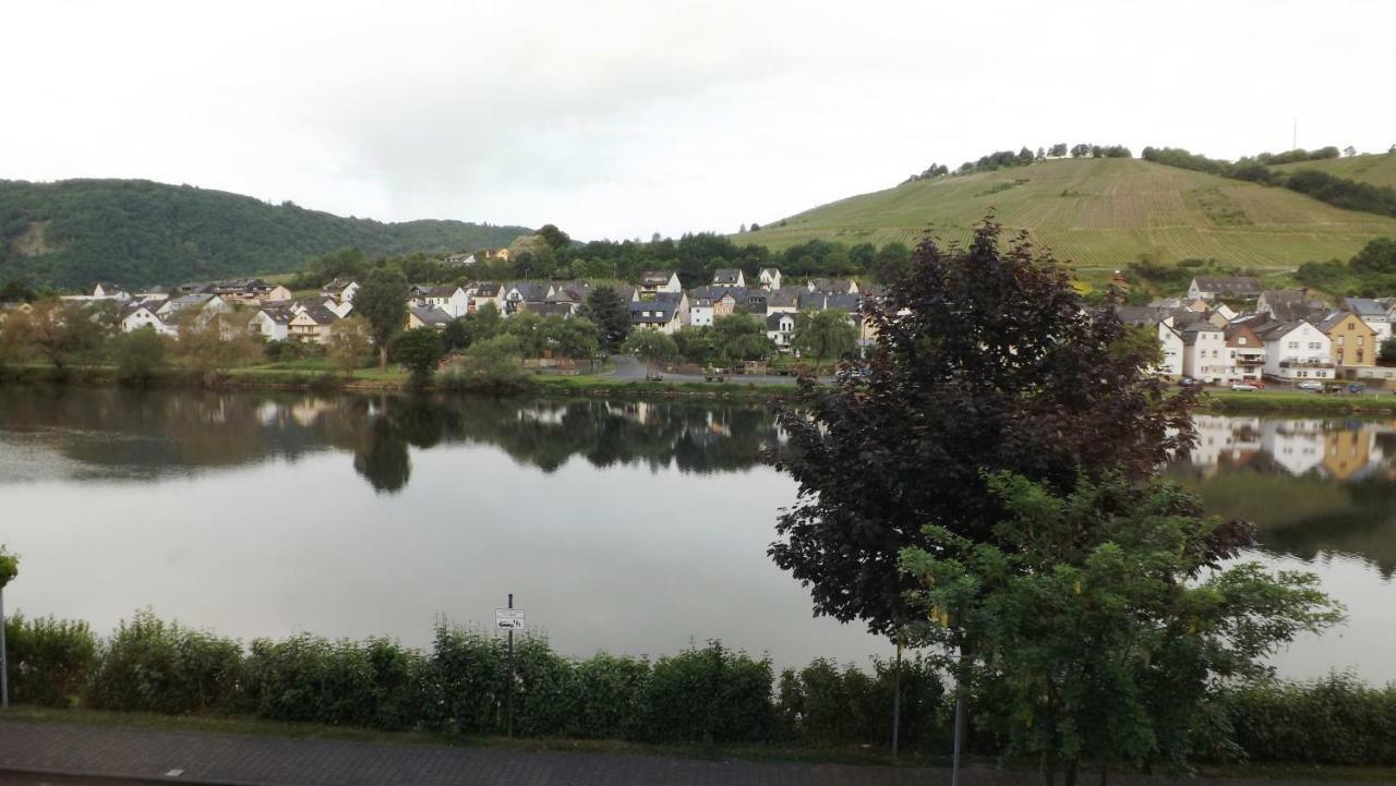 Apartmán Mosel Panorama Zell an der Mosel Exteriér fotografie